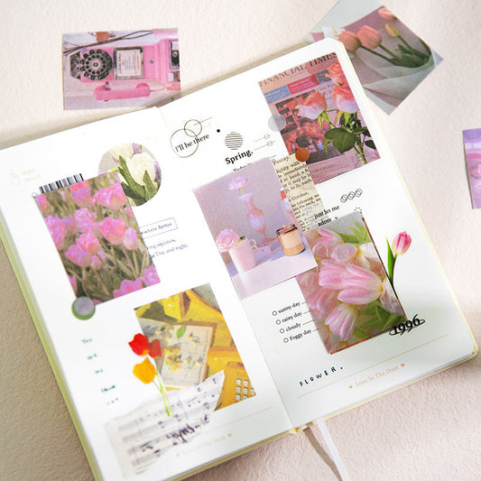 K10009 Unforeseen Encounter Series Twilight Zone Washi Stickers Bean Book Fresh Literary Journal Decoration Material Stickers 8 Styles - Ivana Supply Store