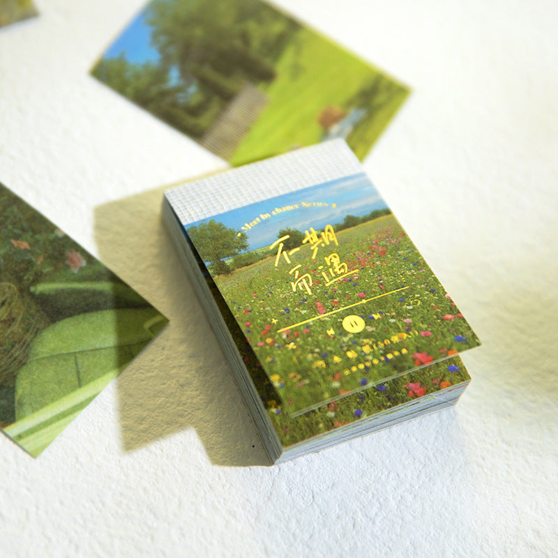 K10009 Unforeseen Encounter Series Twilight Zone Washi Stickers Bean Book Fresh Literary Journal Decoration Material Stickers 8 Styles - Ivana Supply Store