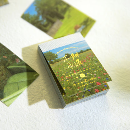 K10009 Unforeseen Encounter Series Twilight Zone Washi Stickers Bean Book Fresh Literary Journal Decoration Material Stickers 8 Styles - Ivana Supply Store